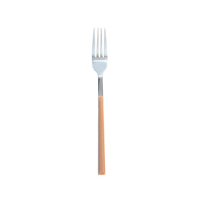 FOURCHETTE DE TABLE COLORAMA 21CM EN ACIER INOXYDABLE NOISETTE