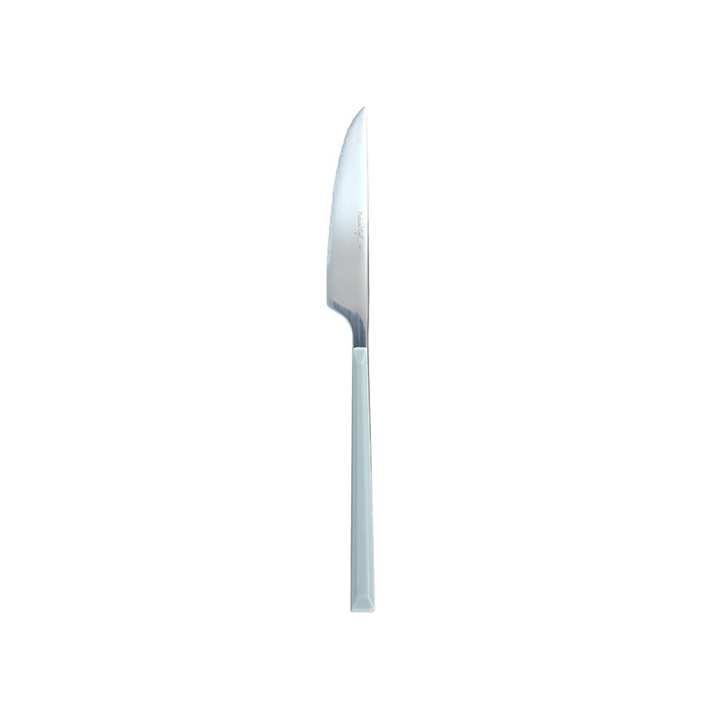 COUTEAU DE TABLE COLORAMA 22CM EN ACIER INOXYDABLE GRIS