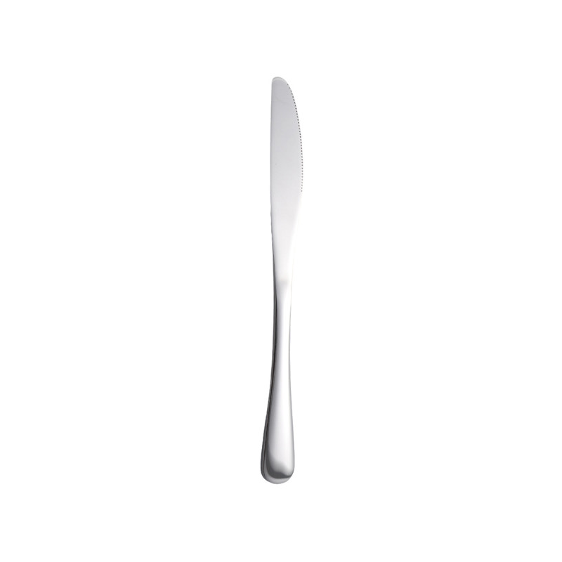 LOT DE 2 COUTEAUX DE TABLE AMBITION 23CM EN ACIER INOXYDABLE