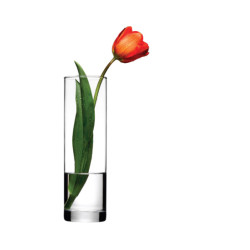 VASE H26,5CM FORME DROITE...