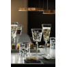 BOITE DE 6 VERRES A PIED ETNA CALICE 3 20CL