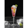 BOITE DE 6 FLUTES DE CHAMPAGNE ETNA CALICE 19CL
