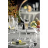BOITE DE 6 FLÛTES CALICE TIMELESS 21CL