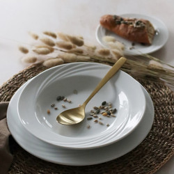 ASSIETTE PLATE AMBASSADOR EN PORCELAINE BLANC