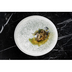 ASSIETTE PATES LUNAR OCEAN 28CM