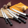 COUPERET PROFESSIONNEL LAME ÉPAISSE 4 MM