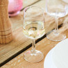 VERRE À PIED EQUIP HOME 19CL EN VERRE TRANSPARENT