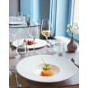 VERRE A PIED 55CL SUBLYM CHEF & SOMMELIER L2758 ARC