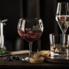 BOITE DE 4 VERRES À PIED GIN BAR SPECIAL 71CL EN CRISTAL TRITAN