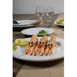 ASSIETTE PLATE KASZUB 19CM PORCELAINE BLANCHE