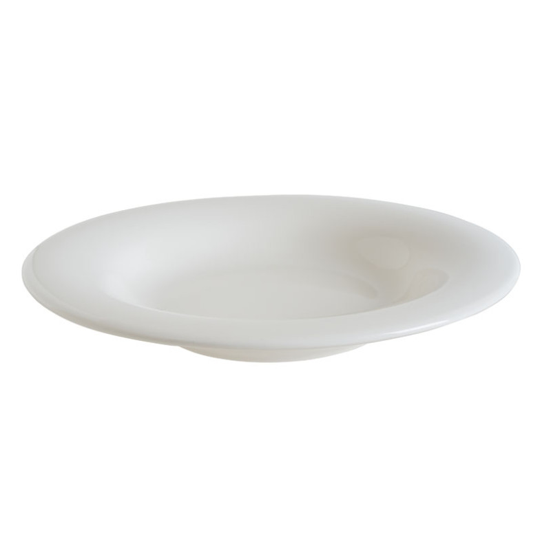 ASSIETTE CREUSE ALBUS 27CM PORCELAINE BLANCHE