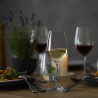 BOITE DE 4 VERRE À PIED FORTÉ 53CL EN CRISTAL TRITAN TRANSPARENT