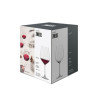 BOITE DE 4 VERRE À PIED FORTÉ 73.2CL EN CRISTAL TRITAN TRANSPARENT