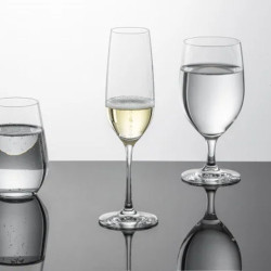 BOITE DE 4 FLÛTES FORTÉ 22.7CL EN CRISTAL TRITAN TRANSPARENT