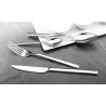 COUTEAU A  DESSERT CARLTON 20CM