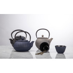 THÉIÈRE SENCHA 1L EN FONTE...
