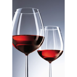 VERRE A PIED N°0 BOURGOGNE DIVA 46CL