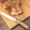 COUTEAU A STEAK ACHILLE 23CM MANCHE BOIS PAPRIKA