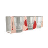 LOT DE 3 CHOPES FORME BASSE SERENITY 21CL EN VERRE TRANSPARENT
