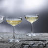 LOT DE 4 COUPES CHAMPAGNE TIMELESS 25,5CL