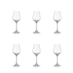 BOITE DE 6 VERRES À PIED NEO 25CL EN CRISTALLIN