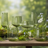 LOT DE 4 FLÛTES RIVIERA VERT 24CL EN VERRE