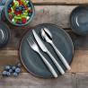 FOURCHETTE DESSERT ADONIS ICY 18CM INOX 18/0