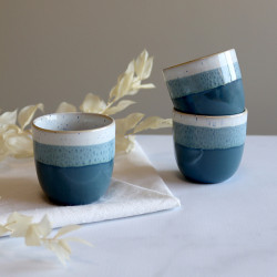 TASSE EXPRESSO RIGA BLEU...