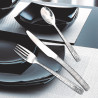 CUILLERE A CAFE PADDLE 14.3CM