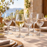 BOITE DE 6 VERRES À PIED INAO 21CL EN CRISTALLIN