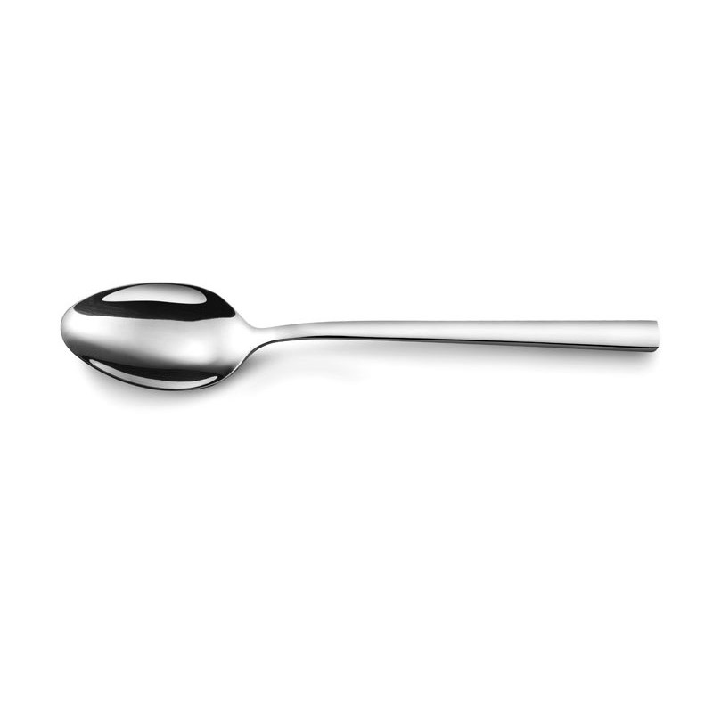 CUILLÈRE DE TABLE CARACTÈRE 20,5CM  EN INOX
