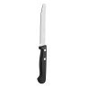 COUTEAUX STEAK 2 RIVETS  BOUT ROND POLYPRO 21.5CM
