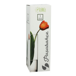 VASE HAUTEUR 26CM FORME DROITE EN VERRE TRANSPAR