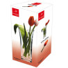 VASE VINCIANA 23CM TRANSPARENT