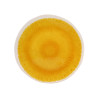 ASSIETTE DESSERT KUWAE 23CM EN MÉLAMINE JAUNE