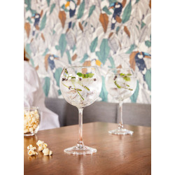 VERRE A PIED VINA SPLENDID  58CL ARCOROC