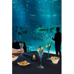 FLUTE BRIO 9,5CL ARCOROC