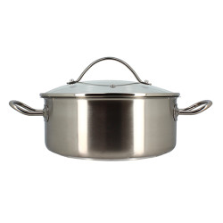 MARMITE 24CM EN ACIER INOXYDABLE PROFESSIONNEL AVEC COUVERCLE EN VERRE
