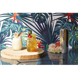 VERRE A COCKTAIL SWEET 44CL