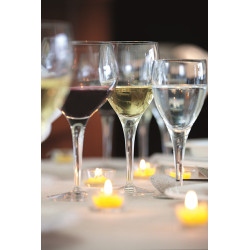 VERRE À PIED 22.5CL MICHELANGELO