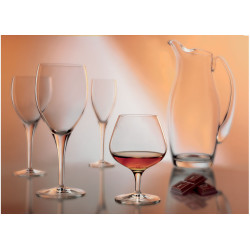 VERRE À PIED VIN MICHELANGELO 19CL