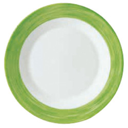 ASSIETTE PLATE BRUSH VERT...