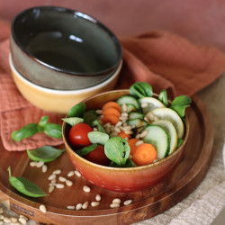 POKE BOWL 12.5CM EN GRÈS ROUGE 360 ML
